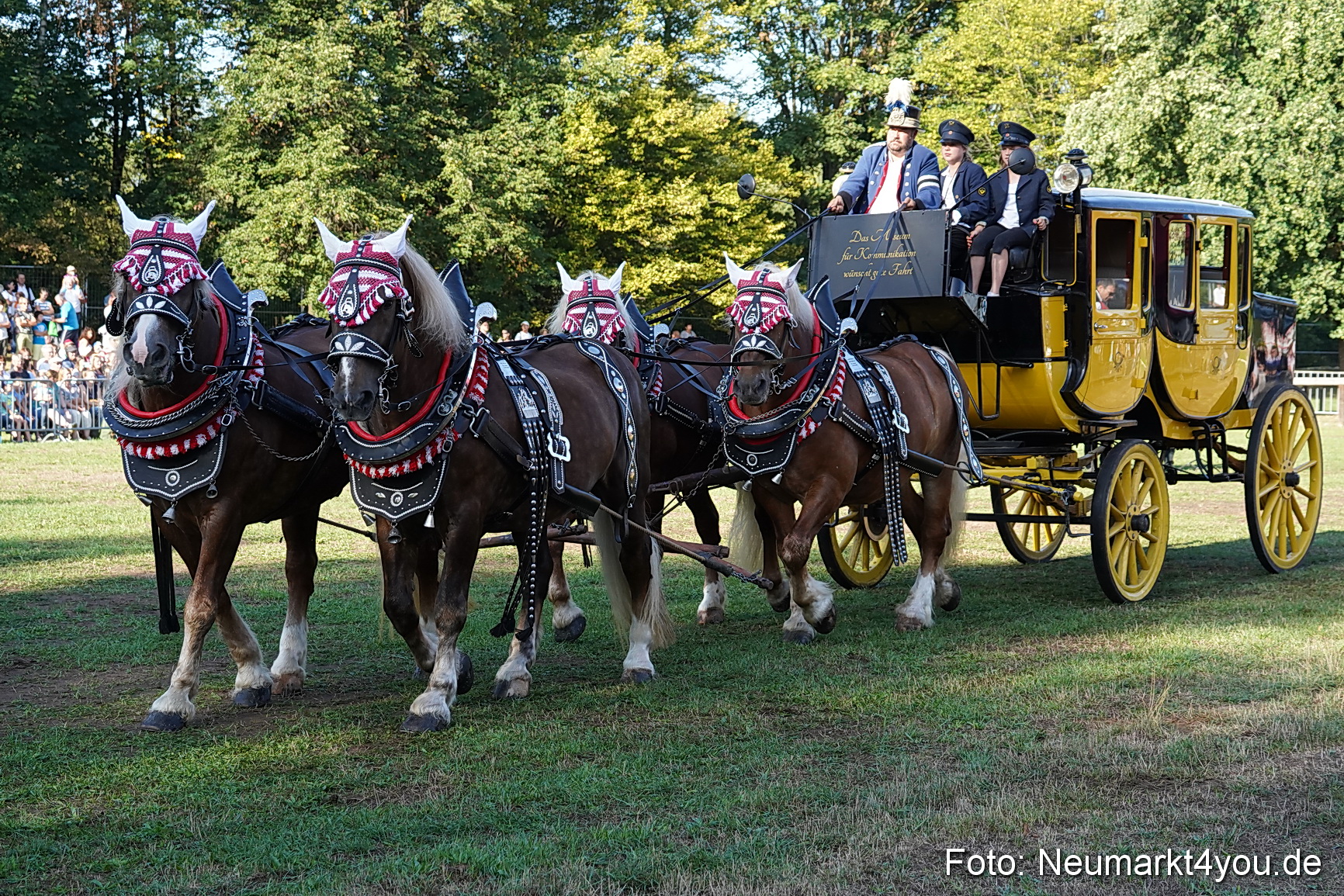 Pferde und Fohlenschau 2022 0007 